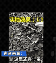 冲上热搜！蚯蚓遭“灭绝式”捕杀，网友：它已经尽量长成不能吃的样子了