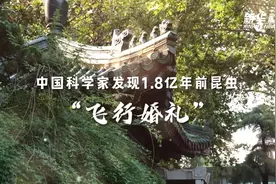 中国科学家发现1.8亿年前昆虫“飞行婚礼”