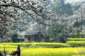 高一平｜|奇梦记图片