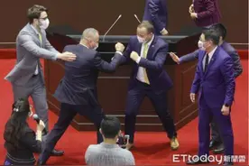惊！斯洛伐克议员“立法院”现场模仿蓝绿打架，网友：可怜又可悲图片