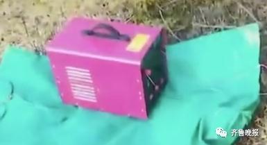 冲上热搜！蚯蚓遭“灭绝式”捕杀，网友：它已经尽量长成不能吃的样子了