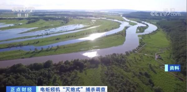冲上热搜！蚯蚓遭“灭绝式”捕杀，网友：它已经尽量长成不能吃的样子了