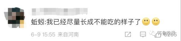 冲上热搜！蚯蚓遭“灭绝式”捕杀，网友：它已经尽量长成不能吃的样子了