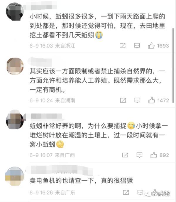 冲上热搜！蚯蚓遭“灭绝式”捕杀，网友：它已经尽量长成不能吃的样子了