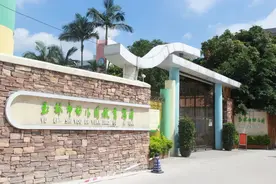 玉林城区多所公办幼儿园招生计划公布！报名时间、条件→图片