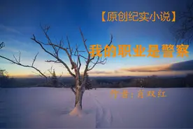 「原创纪实小说」我的职业是警察（作者：肖双红）图片