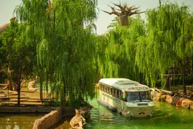 河南省内外5A、4A景区扎堆向高考生免票！优惠景点最全整理来了图片