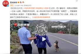 汪汪队立大功！狗狗帮民警引领迷路老人回家图片