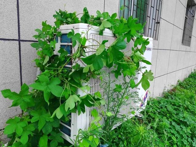 空调制冷多少度合适?如何使用比较省电?