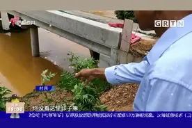 茂名化州：连续暴雨水位暴涨 运沙船撞上桥墩视频封面