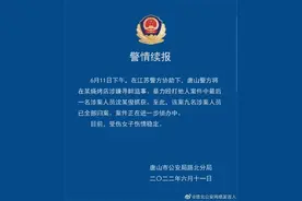 9人全部归案！受伤女子最新情况图片