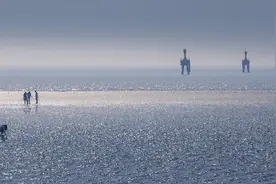 周末去赶海和野餐，这样的快乐你和孩子都值得拥有图片