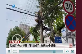 荆州多部门合力拔除“拦路虎”打通生命通道图片