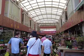 市区最大花鸟市场，双休日再现烟火气图片