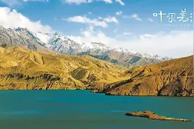 今天，你看纪录片了吗图片