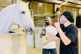 播《本草纲目》白马「跟着音乐摆动」！周杰伦嗨翻：我有面子啦图片