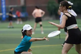 争议飞盘：社交玩具还是专业运动？图片