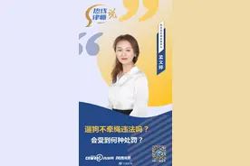 热线律师说丨遛狗不牵绳违法吗？会受到何种处罚？图片