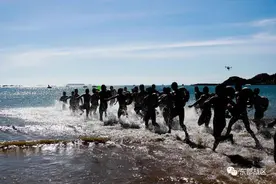 关注｜兵哥哥如何学游泳？上图片图片