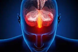 研究：科学家发现脑细胞的不规则产生可能会导致自闭症图片
