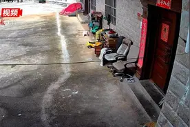 云南文山2岁失踪男童遗体被找到，村干部：警犬在山林中发现图片