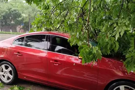 暴雨加冰雹！密云消防雨夜出动22次排险情图片