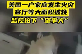 美国一户家庭发生火灾，客厅等大面积被烧，监控拍下“肇事犬”图片