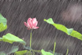 梅雨季，食物如何防霉？收下这份食品健康指南→图片