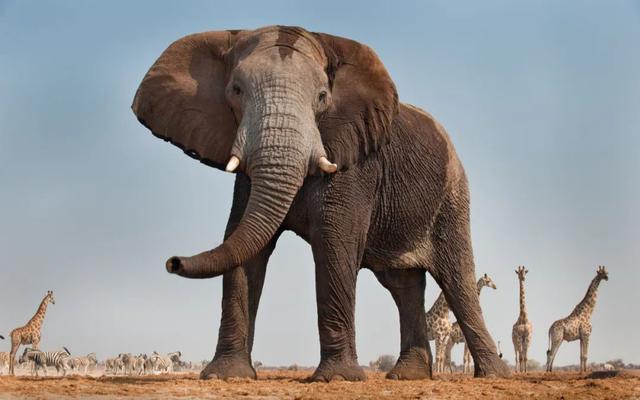 ����󹲴桪����Ͳ�Τ���Գ���֮��