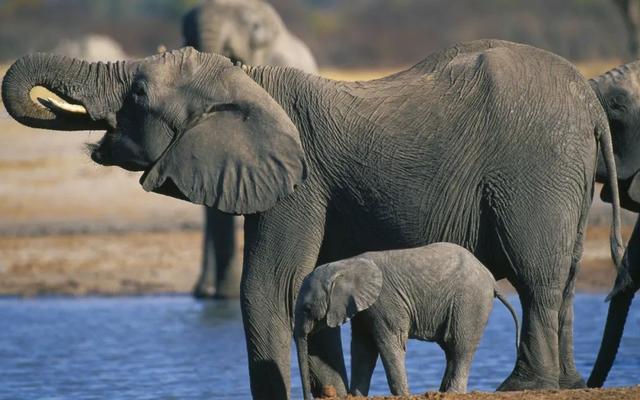 ����󹲴桪����Ͳ�Τ���Գ���֮��