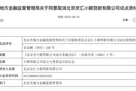 网络小贷整改加速：京东整合牌照，旗下小贷公司仅留一家图片