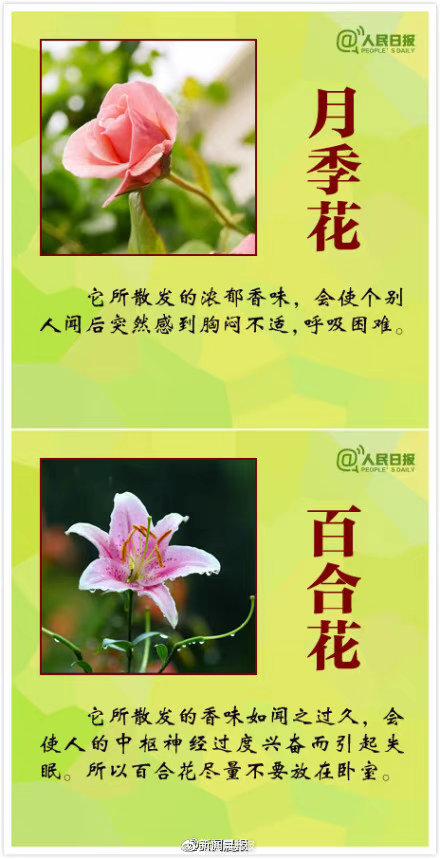 这些花有毒一定要认清