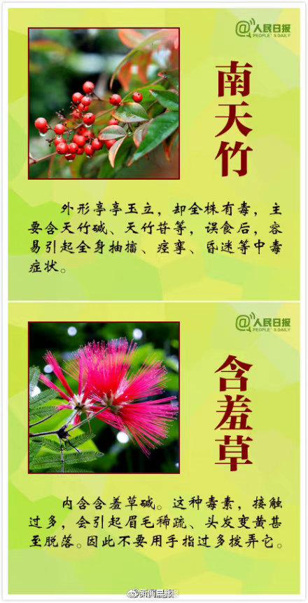这些花有毒一定要认清