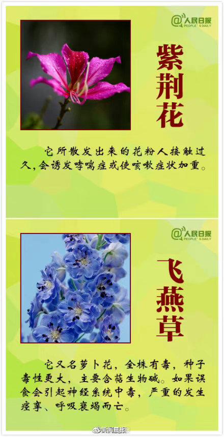 这些花有毒一定要认清