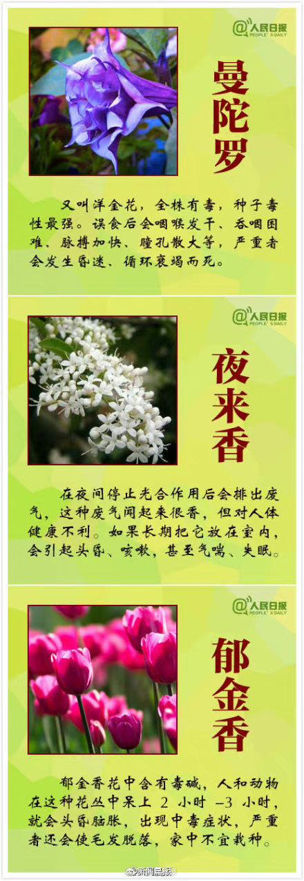 这些花有毒一定要认清