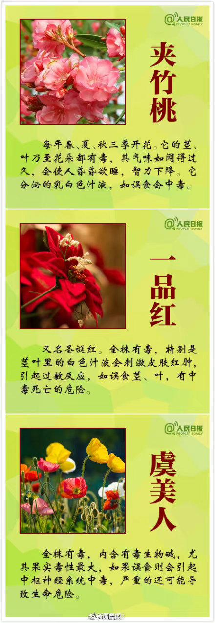 这些花有毒一定要认清