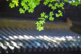 这十个养生小动作，坚持做有益健康图片