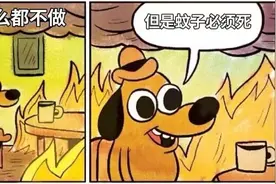 今年上海的蚊子“变毒”了？蚊子最喜欢哪种血型的人？图片