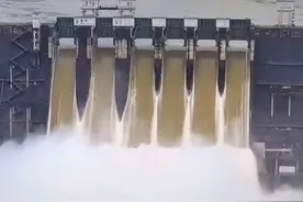 龙川枫树坝水库连日拉闸泄洪 昨起开启6个闸门泄洪图片