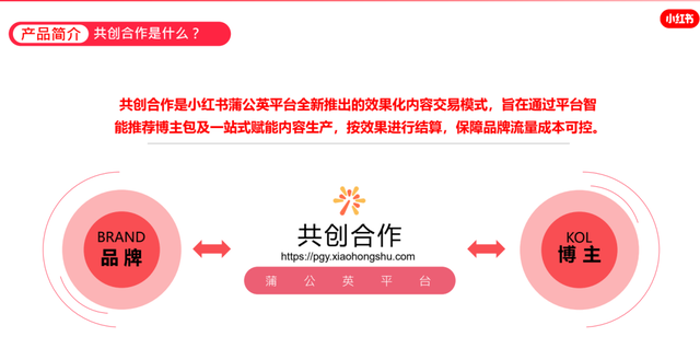 小红书问答手册V1.0：一份关于账号定位、引流、违规、投放的小红书百科