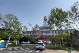 记者探访济南东营德州三大通信运营商营业厅 无障碍通道设置情况参差不齐图片