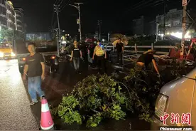 广州从化太平镇出现“龙卷风”暂无发现人员伤亡图片