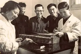 中国这项科技成就震惊世界，却为何与诺贝尔奖失之交臂？图片