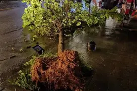 广州从化太平镇昨夜出现龙卷风！它是如何形成的？图片