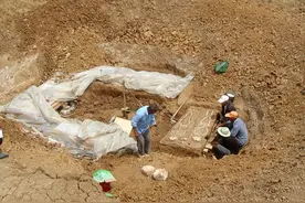 蚌埠的春秋故事：楚头吴尾话钟离图片