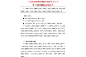 上市公司起诉河南一农商行 称近亿存款被无故划扣图片