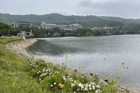 写点生活｜给父亲理发图片