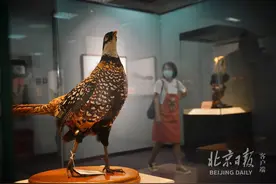 北京自然博物馆今天开新展，让您从不同角度发觉美图片