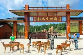 辽源十个乡村旅游精品点十条乡村旅游精品线路 邀您共赏田园风光图片