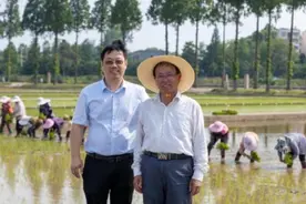 从“吃饱”到“吃好”，“南粳之父”王才林稻花香里逐梦行图片